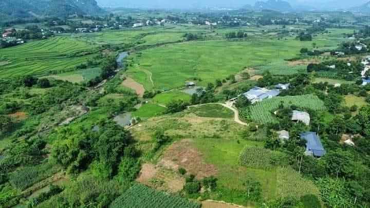 Bán Đất Nền Thịnh Minh, Hòa Bình - 10.000m² View Cánh Đồng, Gần KCN, Giá 5 Tỷ