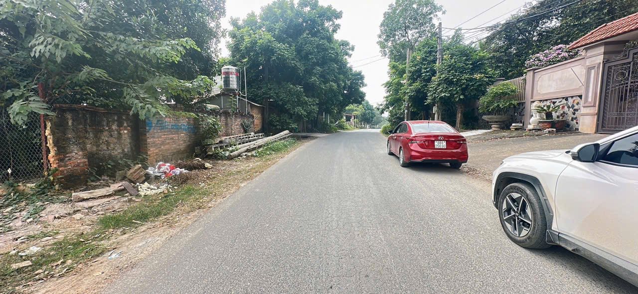 Đất Nền Mặt Tiền Trục Chính Tam Dương, Vĩnh Phúc - 100m² - Chỉ 1.8 Tỷ