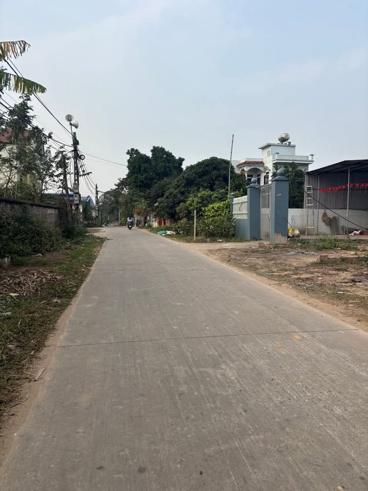 Đất nền Lạng Giang 245m² chỉ 3 tỷ - Đường to ô tô, kinh doanh đỉnh!