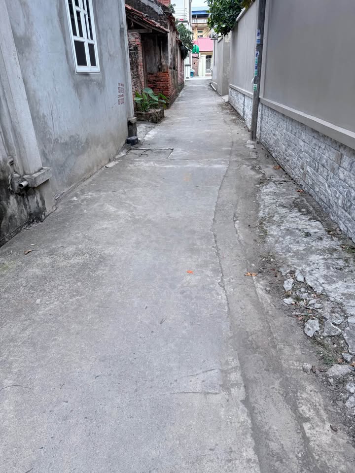 Đất Nền Hưng Yên 61m² - Sổ Đỏ Sẵn Sàng, Gần KCN Thăng Long 2