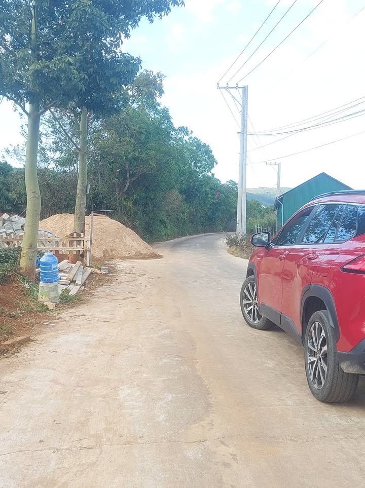 Đất nền Đức Trọng 1000m² view rừng thông - Tiềm năng tăng giá!