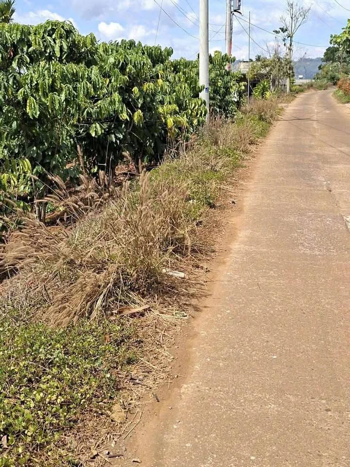 Đất nền Hoài Đức Lâm Hà 3500m² giá 2.3 tỷ - Sổ đỏ chính chủ