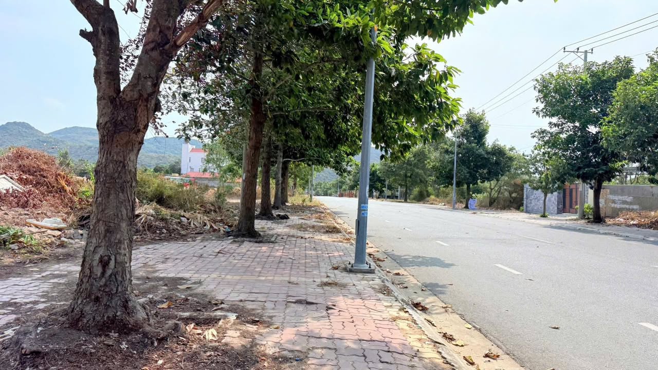 Nhà mặt tiền Long Hải 1530m² - Đầu tư sinh lời, đón sóng du lịch!