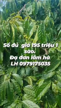 Đất vườn Lâm Hà 1.9ha giá 3.7 tỷ - Đầu tư dài hạn sinh lời cao