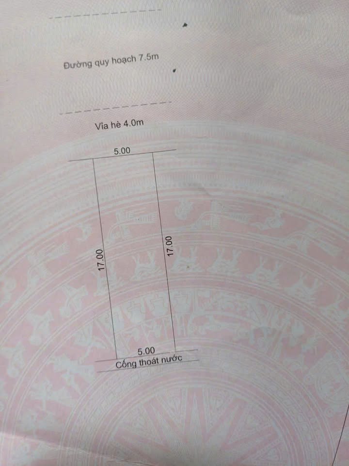 Đất Mặt Tiền Bùi Hiển, Thanh Khê, Đà Nẵng - 85m² Kinh Doanh Đỉnh Cao