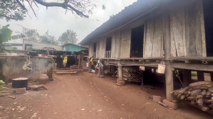 Đất Vườn Phú Vinh 408m² - Nhà Sàn Sẵn Ở, View Đồng Thoáng Đãng