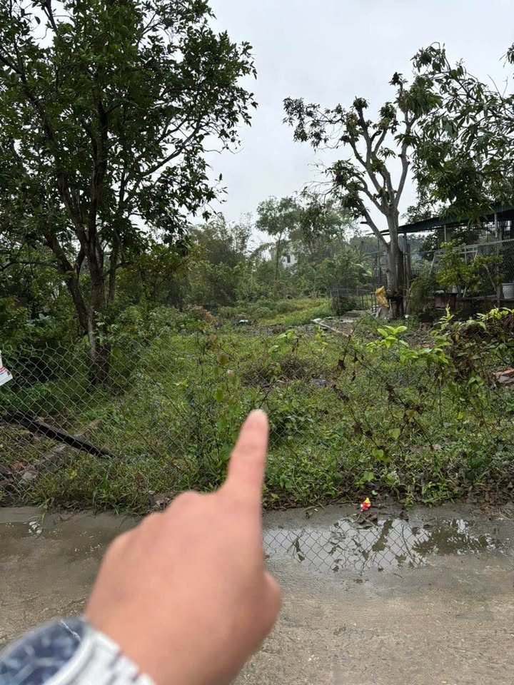 Đất nền Khối Mai Lộc Vinh 114m² - Xây dựng tự do, tiềm năng sinh lời!