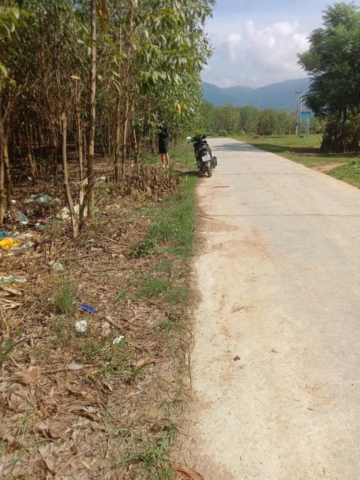 Bán Gấp Đất Vàng Ninh Hoà 19.301m² - Tiềm Năng Phân Lô Cực Lớn