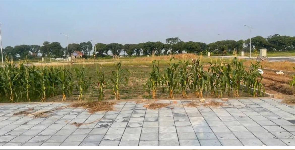 Đất nền Bảo Khê 100m² giá 3 tỷ - Sổ đỏ chính chủ, view vườn hoa