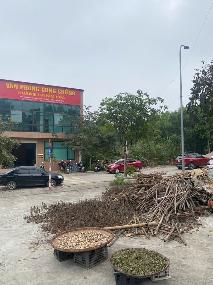 Đất Vàng Hạ Hòa 100m² Sổ Đỏ - Cơ Hội Đầu Tư Sinh Lời