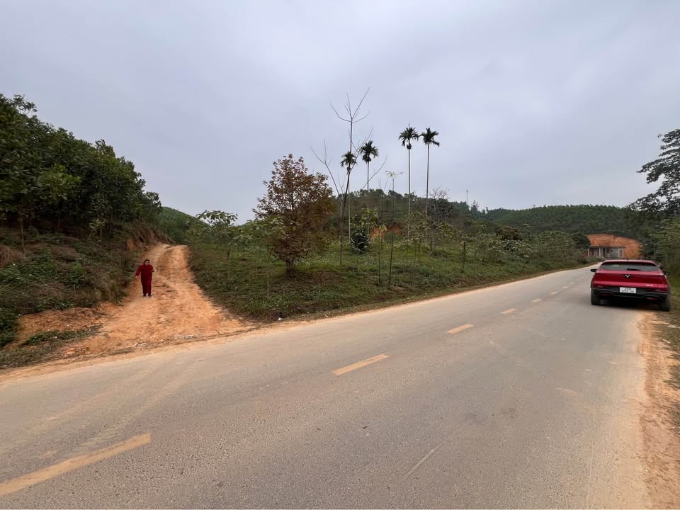 Đất nền Văn Bình Thường Tín 9000m² - Tiềm năng tăng giá vượt trội!