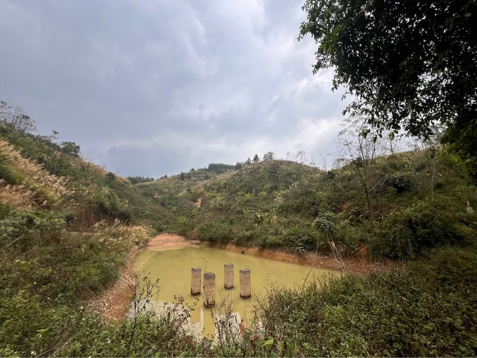 Bán Đất Trang Trại 12ha Võ Nhai, Thái Nguyên - Sẵn Sàng Mở Rộng 22ha