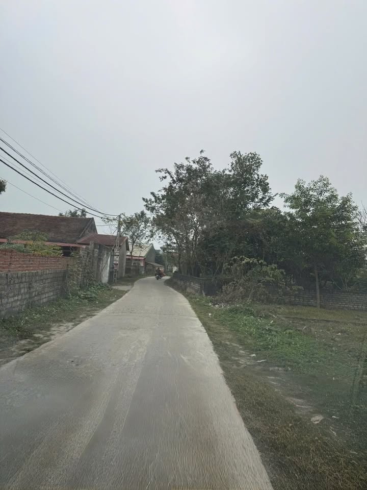 Đất Mặt Tiền Trục Chính Danh Thắng, Hiệp Hòa - 125m² Tặng Ruộng Sau