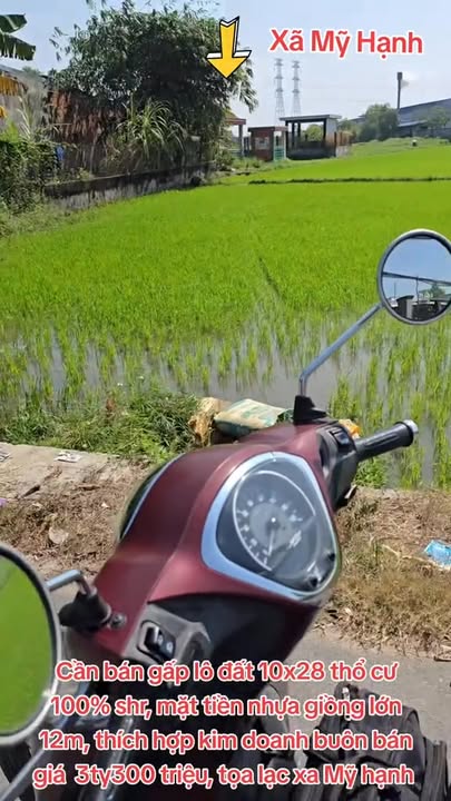 Đất nền Mỹ Hạnh Nam 280m² - Sổ đỏ chính chủ, kinh doanh ngay!