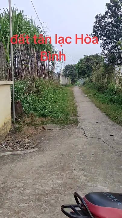 Đất nền Tân Lạc, Hòa Bình 1200m² - Sổ đỏ sẵn, 1 tỷ - Mặt đường thông thoáng