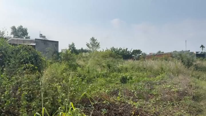 Đất nền Long Thành Đồng Nai 100m² - Xây dựng tự do!