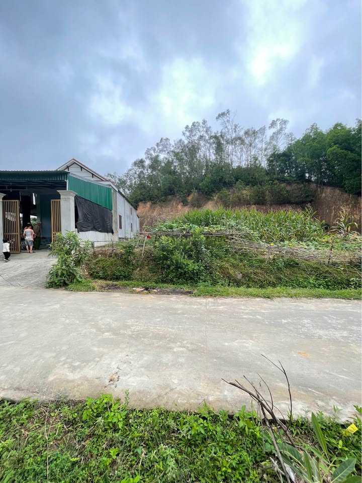 Đất nền Xuân Sơn, Đô Lương 243m² - Đường ô tô, tiềm năng tăng giá