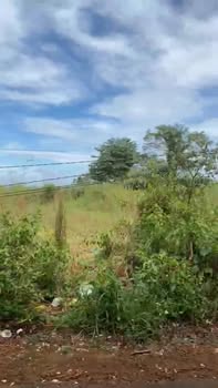 Đất nền Xóm Cà Mau Kiến Đức 900m² - Tiềm năng tăng giá vượt trội!