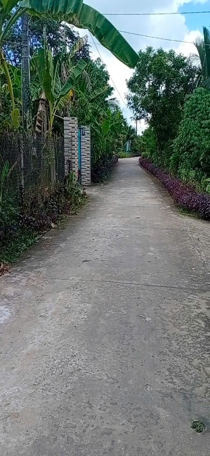 Đất nền Lương Phú, Long Hồ 638m² - Đường ô tô, Tiềm năng kinh doanh!