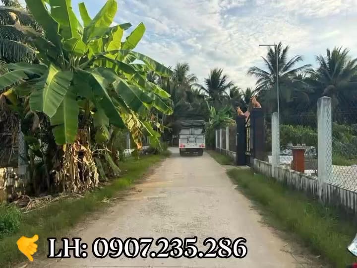 Đất nền An Hội Bến Tre 100m² - Sổ hồng riêng, xây dựng tự do!