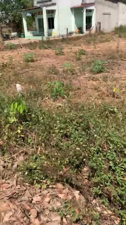 Đất nền Phú Giáo 430m² giá 800 triệu - Sổ đỏ chính chủ