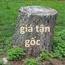 Đất nền Cổ Đông, Sơn Tây 110m² - Giá chỉ hơn 600 triệu, ô tô vào tận nơi