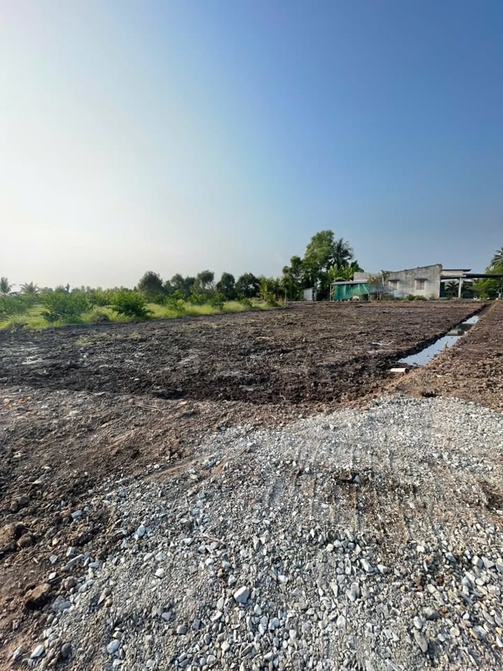 Đất Nền Bến Lức Long An - 1000m² Sổ Thổ Cư, Cạnh Vành Đai 4, Giá Tốt