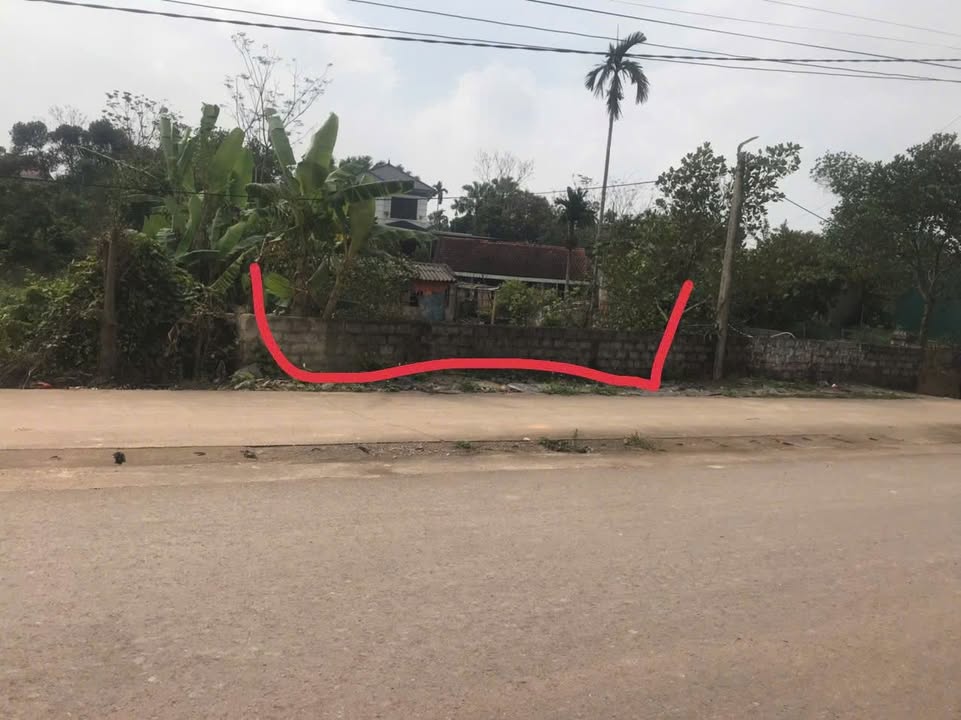 Đất nền Xã Dân Lực Triệu Sơn 210m² - Tiềm năng tăng giá vượt trội!