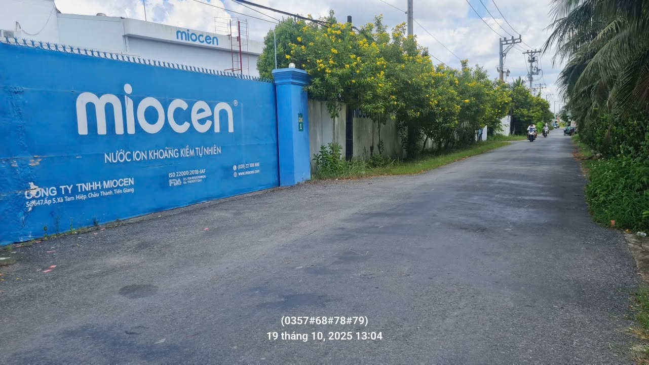 Đất Mặt Tiền Đường Lộ 210m² - Giá 1.7 Tỷ Thương Lượng - Châu Thành, Tiền Giang