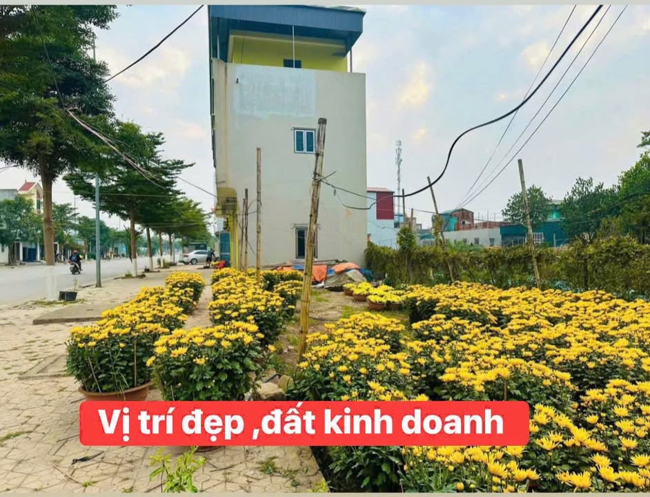 Bán Đất Lô Góc Mặt Tiền 27 Nguyễn Lam, Phủ Lý - 100m², Kinh Doanh/Ở Tốt