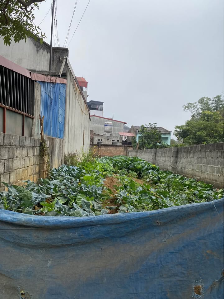 Bán đất mặt tiền Tát Là Lạng Sơn 90m² giá 1 tỷ - Vị trí vàng kinh doanh