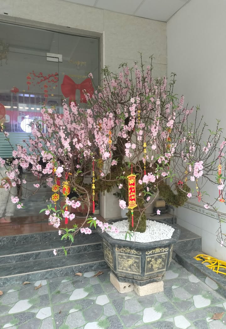 Đất nền Thái Bình, Triệu Sơn - 100m² giá chỉ 400 triệu, gần Am Tiên