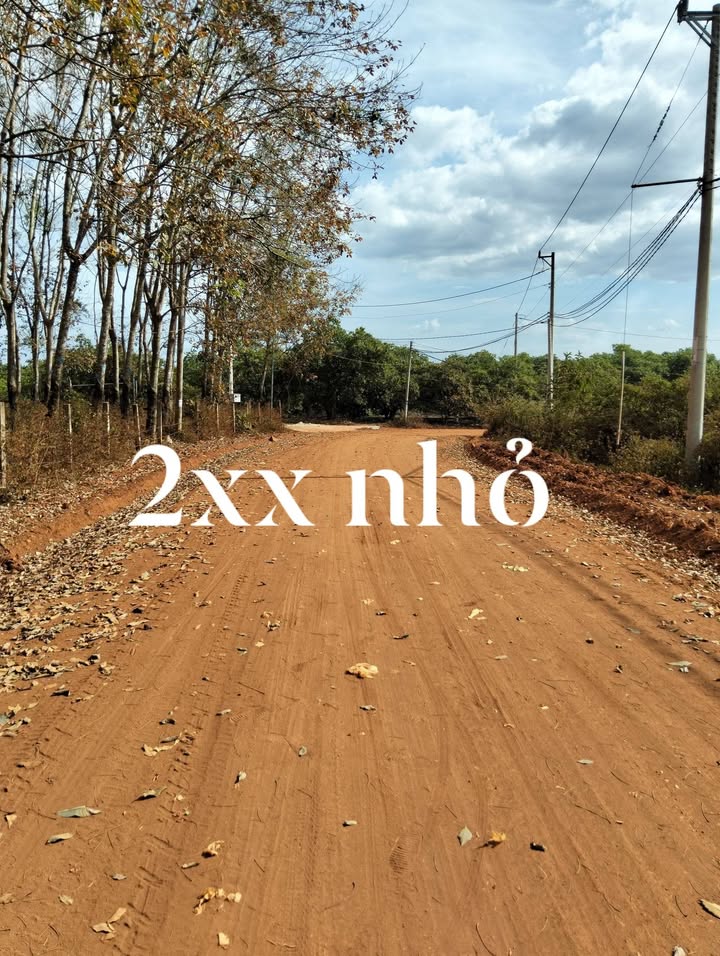 Đất Vàng Bù Đăng 416m² Nở Hậu - Sổ Đỏ Sẵn Sàng Công Chứng