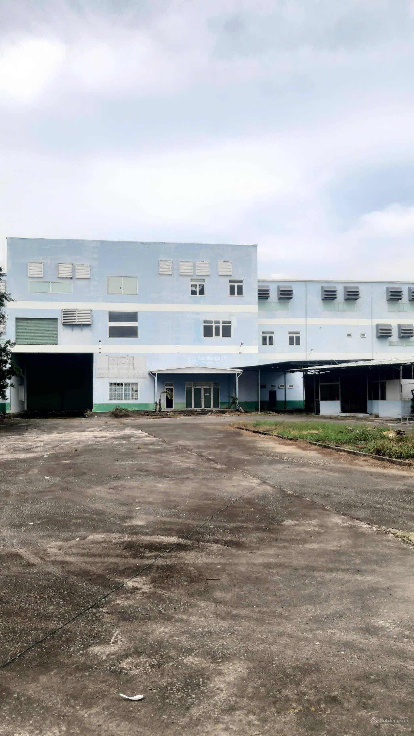Cho thuê xưởng 10.500m² Mỹ Yên Bến Lức - Container 24/24, PCCC tự động