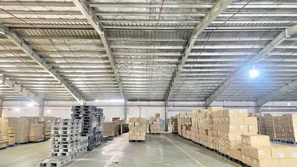 Kho xưởng CCN Tân An Long An 10.000m² - Sẵn sàng hoạt động ngay!