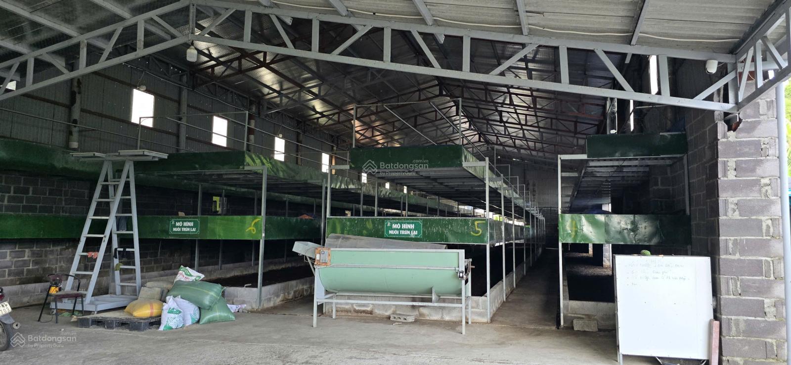 Kho Xưởng 4000m² Vĩnh Phương, Nha Trang – Hoạt động ngay!