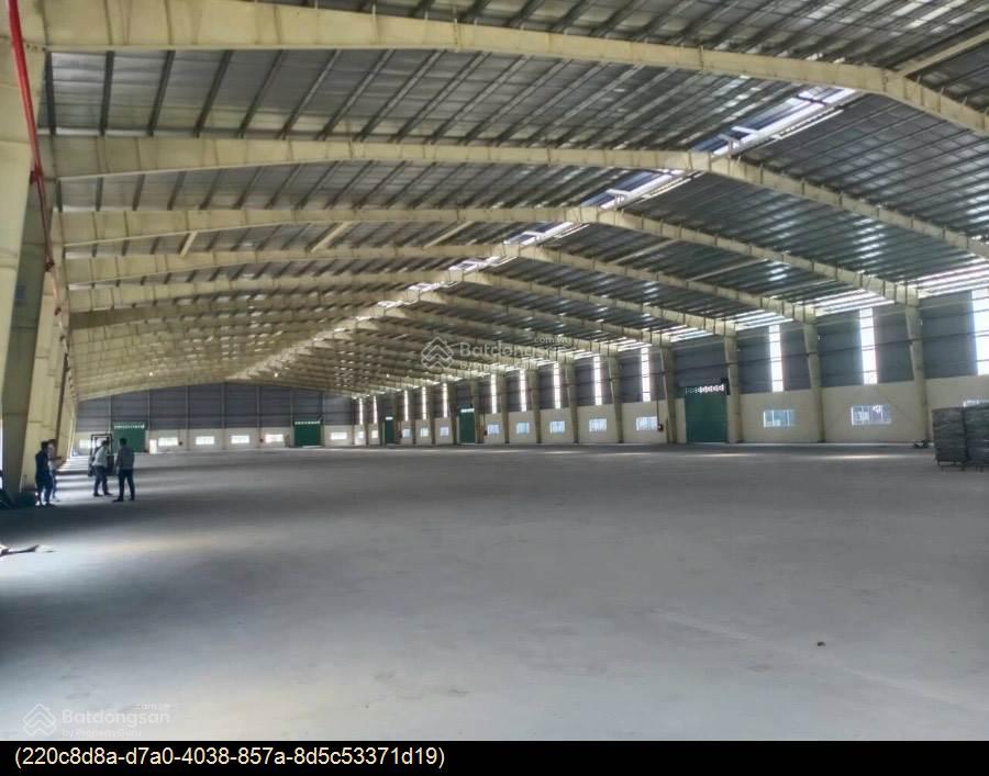 Cho thuê kho xưởng 19,000m² tại Bàu Bàng, Bình Dương - Sẵn sàng sản xuất, giá tốt!