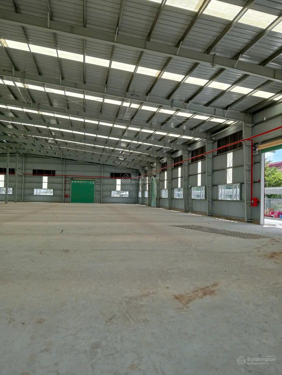 Kho Xưởng Bàu Bàng Bình Dương 39.000m² – Gần KCN, Container Thoải Mái!