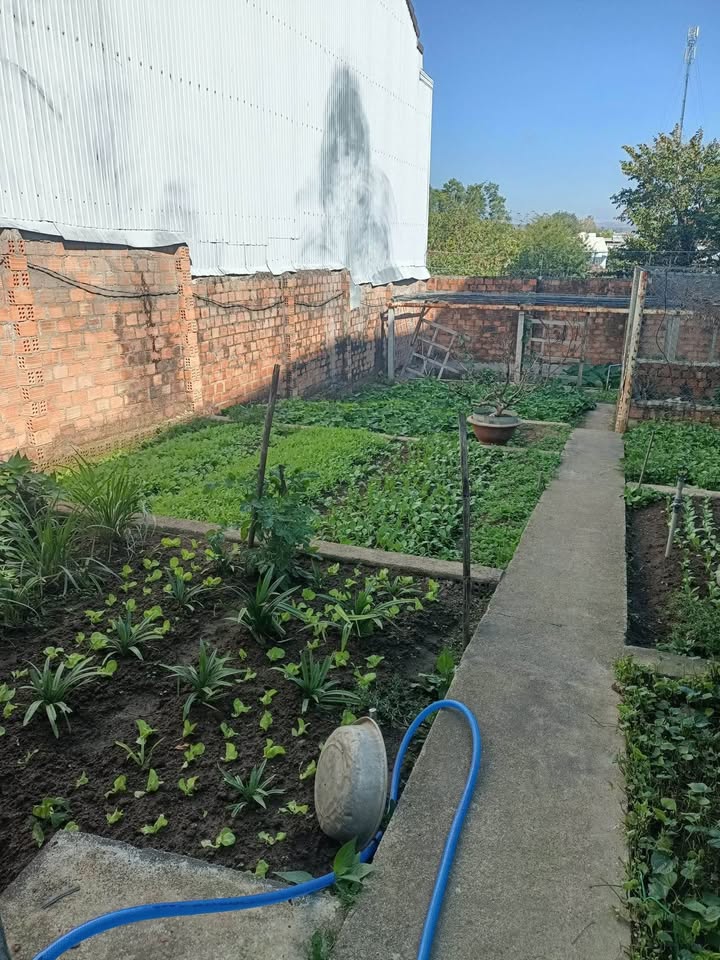 Đất nền Phường Quang Trung, Kon Tum - 135m² Hướng Nam, Sổ đỏ - Giá tốt