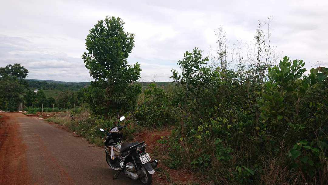 Đất nền Diên Phú Pleiku 512m² giá 1.4 tỷ - Đường to ô tô