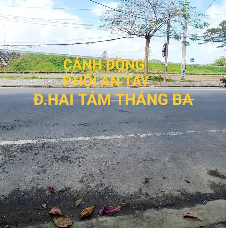 Đất Nền Hội An 150m² View Đồng Lúa - Đường Huỳnh Thị Lựu