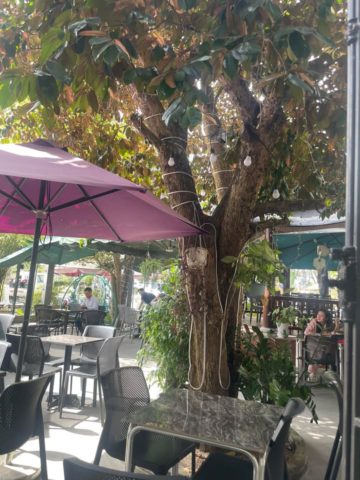 Đất nền Phong Bắc 5, Cẩm Lệ 109m² - Sổ đỏ chính chủ!