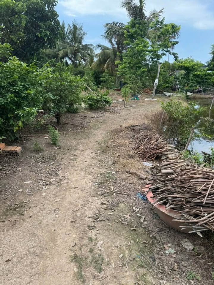 Đất vườn Núi Sam Châu Đốc 8030m² 7.2 tỷ - Nghỉ dưỡng lý tưởng!