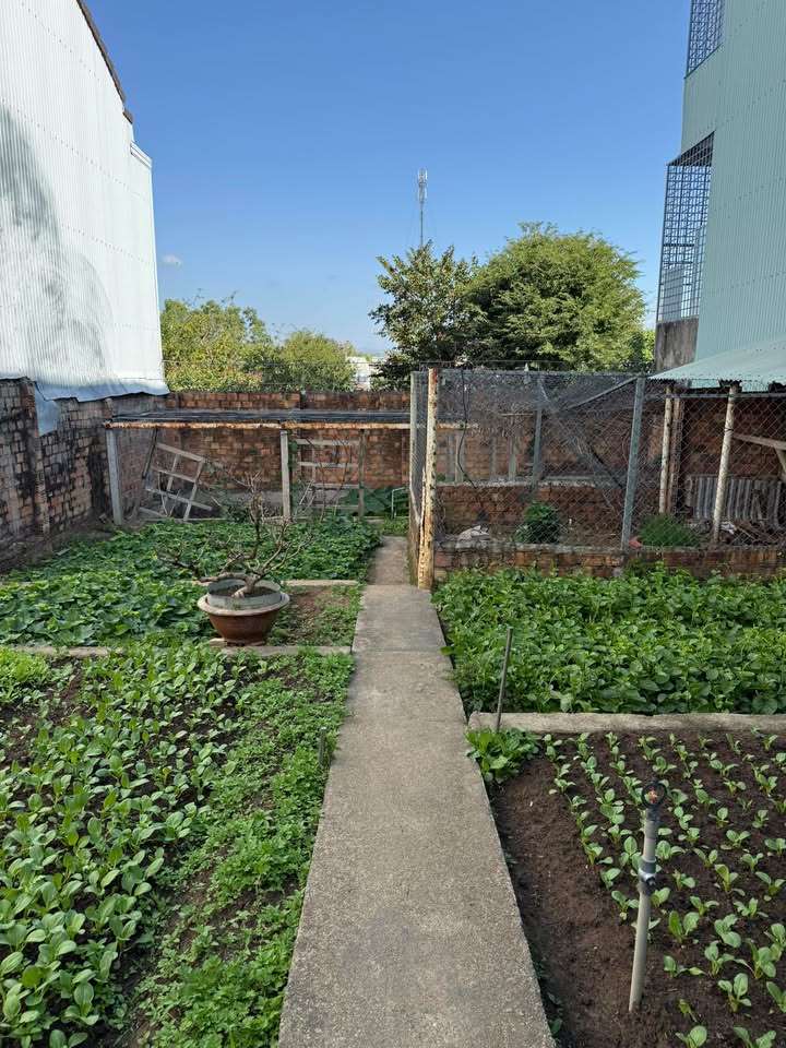 Đất thổ cư full sổ 135m² phường Trường Chinh, Kon Tum - Tặng vườn rau