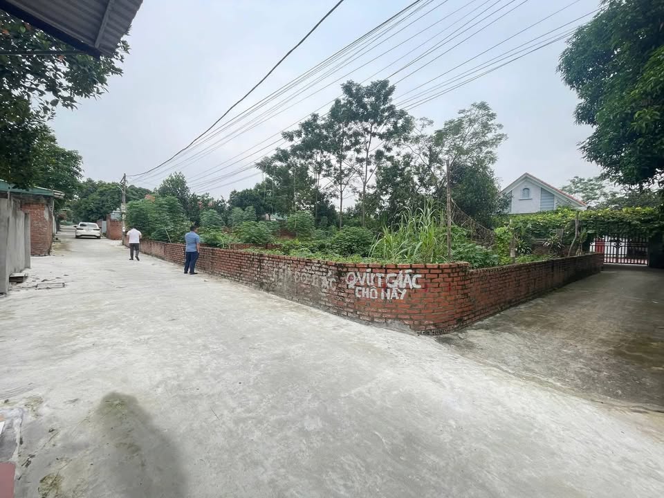 Đất nền Việt Trì 78.8m² Thụy Vân - Tiềm năng tăng giá vượt trội!