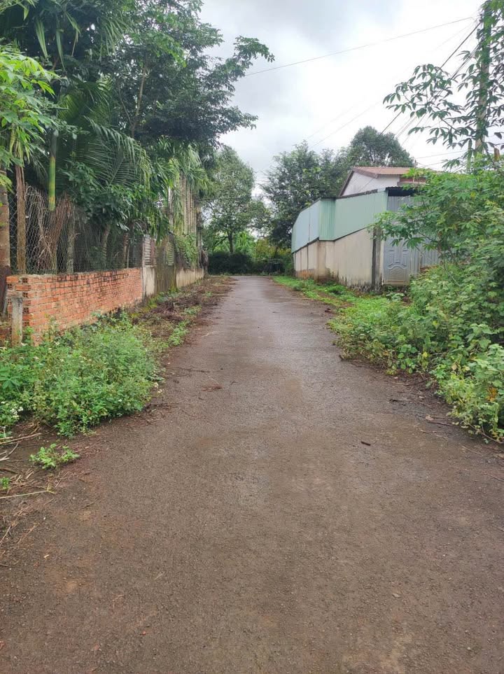 Đất nền Hòa Thắng, BMT 250m² - Tiềm năng tăng giá cực lớn!