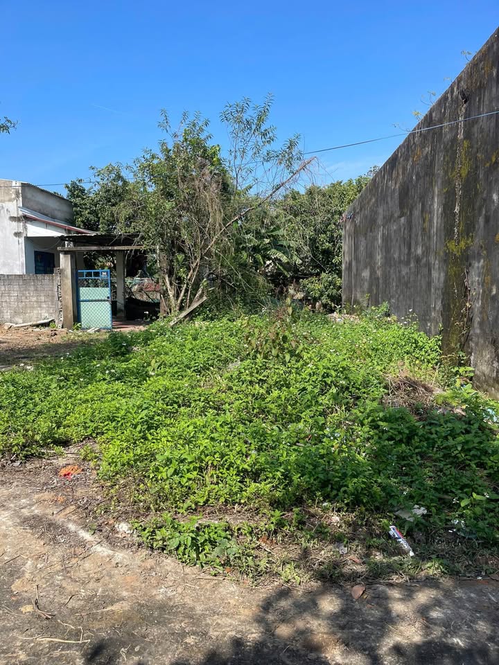 Bán đất Điện Hòa Điện Bàn 90m² giá 800 triệu - Sổ đỏ chính chủ!