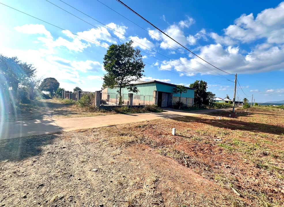 Đất Nền Trần Văn Ơn Pleiku 258m² - Sổ Đỏ Chính Chủ, Giá Tốt!