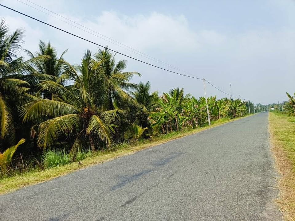 Bán Đất Vũng Liêm Vĩnh Long 2288m² Mặt Tiền Lộ 907 - Giá Đầu Tư 2.16 Tỷ