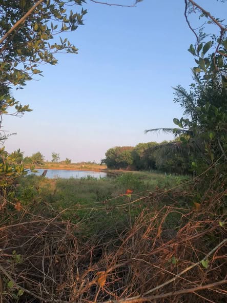 Bán Đất Vĩnh Hậu A, Bạc Liêu 3400m² - Sổ Hồng Sẵn Sàng